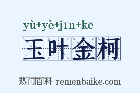 玉叶金柯是什么意思的图片